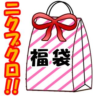 福袋 送料無料 ヤキニクブクロ 阿波牛の藤原 黒毛和牛 焼肉 セット