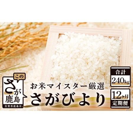 ふるさと納税  《12ヶ月定期便》鹿島市産さがびより　白米（毎月２０ｋｇ×１２回） V-11 佐賀県鹿島市