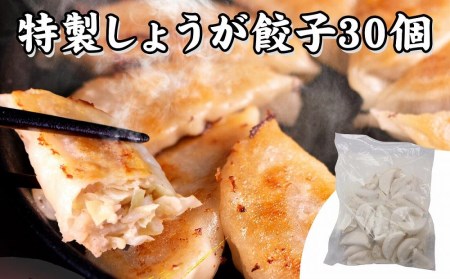 [ギョーザ専門店イチロー] 神戸味噌だれ餃子2種（計60個）＆特製小籠包10個＆餃子屋さんのハンバーグ2個（デミグラスソース付）