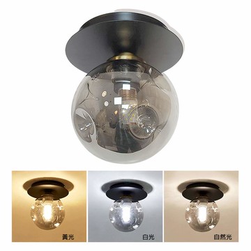 LED10W三色溫單色溫吸頂燈 YP88-KC2010-1C(贈送燈泡無保固)