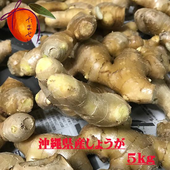 しょうが(生姜）５ｋｇ　