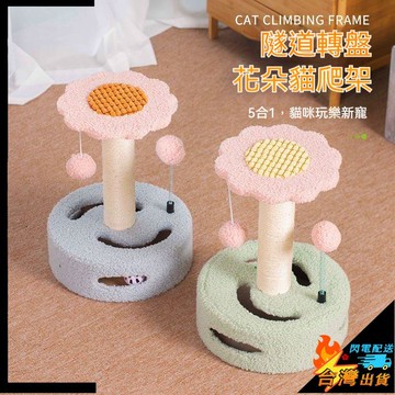 【台灣出貨】寵物玩具 狗玩具 貓爬架 貓抓板 小型貓咪玩具 貓咪跳台 逗貓球 彈簧球 解悶 不佔地小戶型 寵物用品