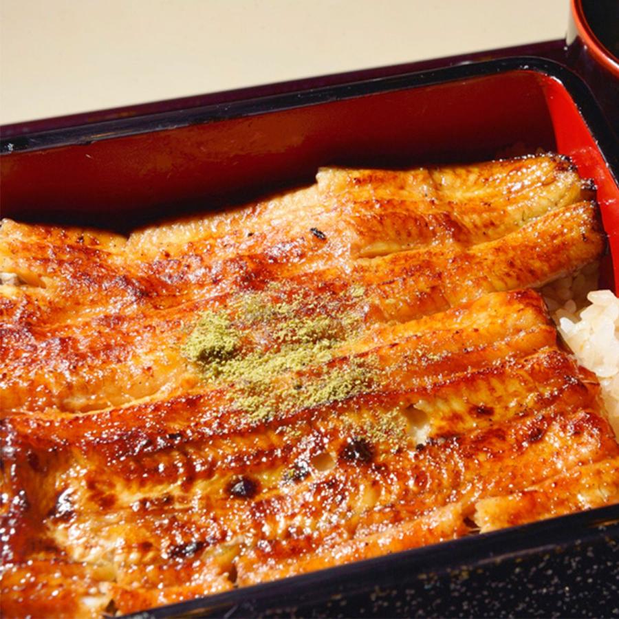 九州産　特大うなぎ蒲焼　2尾（1尾200g）木目調ギフトBOX付