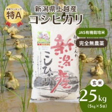 令和5年・新潟県産|JAS有機栽培アイガモ農法コシヒカリ100% 玄米25kg 5kg×5袋