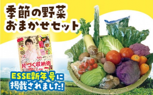 49.旬の野菜おまかせセット