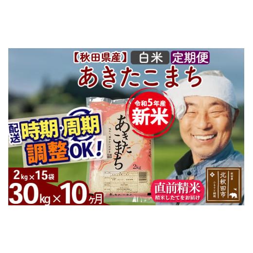 ふるさと納税 秋田県 北秋田市 《定期便10ヶ月》＜新米＞秋田県産 あきたこまち 30kg(2kg小分け袋) 令和5年産 配送時期選べる 隔月お届けOK お米 おお…