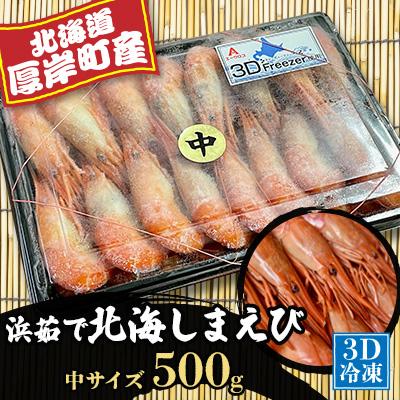 ふるさと納税 厚岸町 北海道厚岸産「浜茹で北海しまえび」中サイズ 500g×1パック