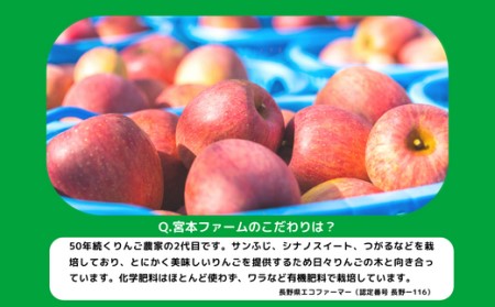 りんご サンふじ 家庭用 5kg 令和5年度収穫分 沖縄県への配送不可 2023年12月上旬頃から2024年1月中旬頃まで順次発送予定 宮本ファーム エコファーマー 減農薬栽培 長野県 飯綱町 [1491]