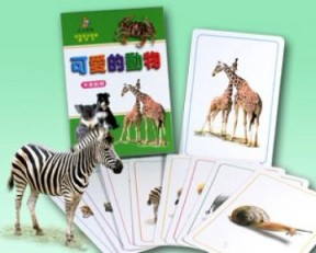 可愛的動物【TAAZE讀冊生活】
