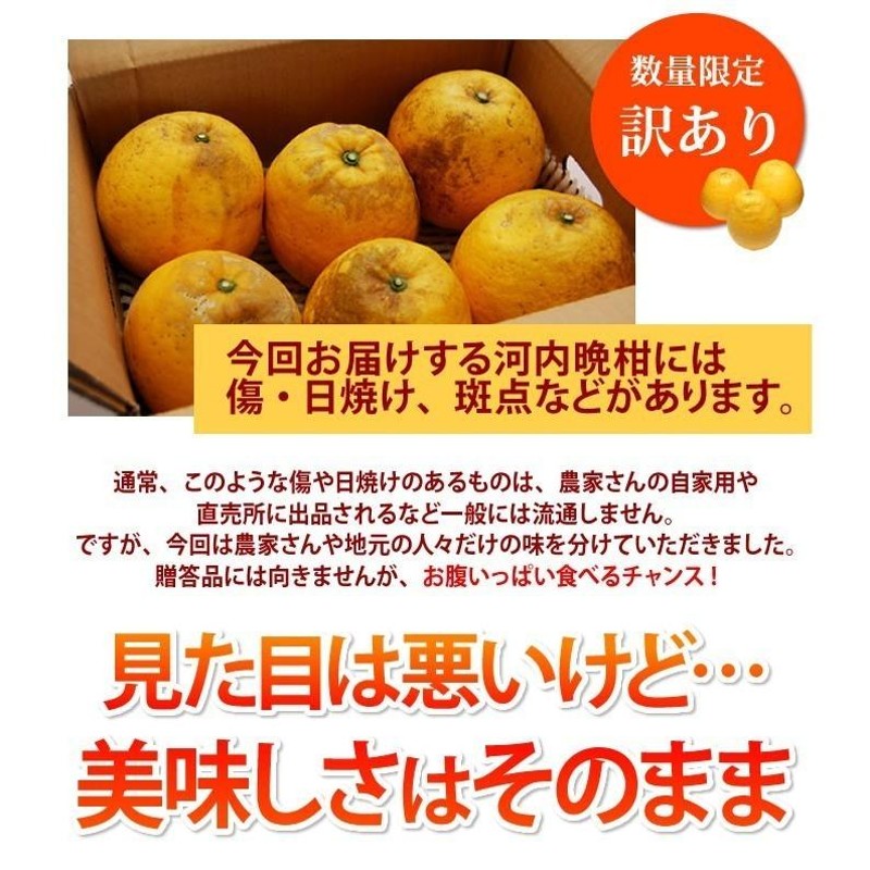 みかん 送料無料 河内晩柑 訳あり 箱込約10kg 内容量9kg + 補償