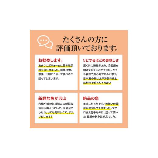 ふるさと納税 秋田県 にかほ市 発送メールのみ 日本海の鮮魚詰め合わせ（2〜3人前 下処理済み 切り身 魚介 セット）