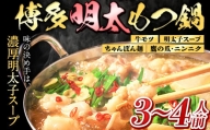 博多明太もつ鍋 3～4人前セット ちゃんぽん麺付き《30日以内に順次出荷(土日祝除く)》小竹町 博多和牛 株式会社MEAT PLUS 慶神 明太子 牛モツ 鍋