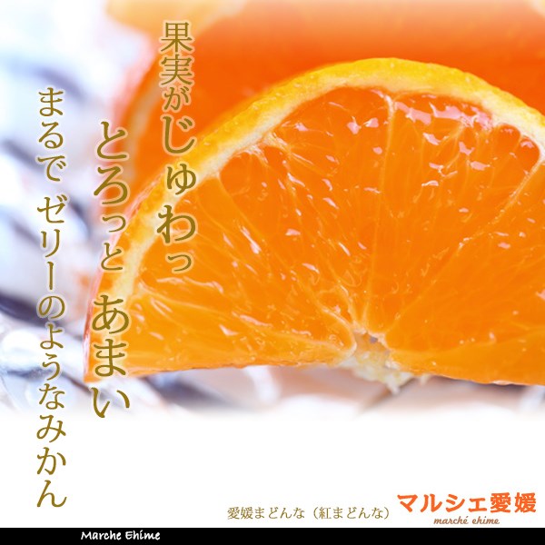 紅まどんな 家庭用 みかん 訳あり 箱買い 年内発送　愛媛のまどんな 家庭用 サイズ混合 2kg 表面に傷有 カットフルーツに最適 一部地域 送料無料