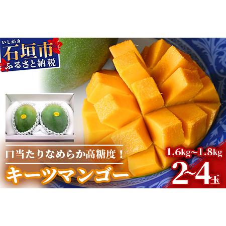 ふるさと納税 沖縄県石垣島産 キーツマンゴー 1.6kg〜1.8kg2024年発送分 沖縄県石垣市