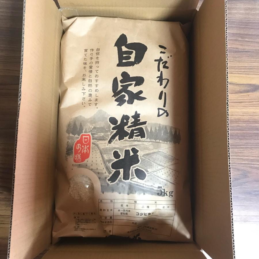 令和5年産　愛知県産ミルキークイーン　玄米　10kg　選べる　玄米　白米　生産農家直送