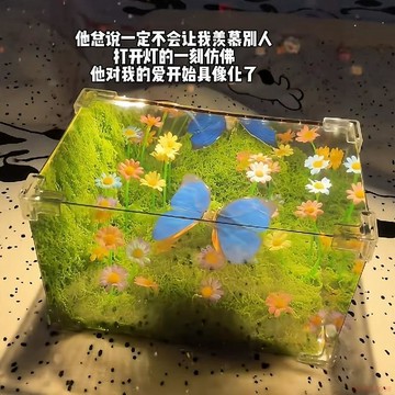 桃園出貨✨綠野仙蹤蝴蝶魔方小夜燈diy材料包牀臥室睡眠燈送女友紀念日禮物