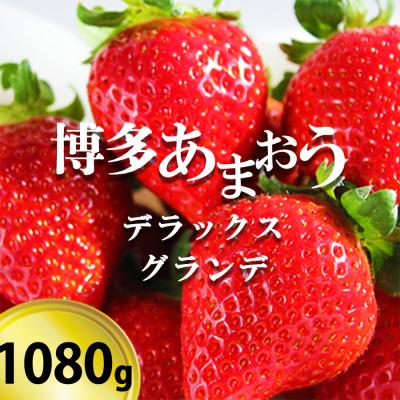 ふるさと納税 小郡市 「博多あまおうデラックスグランデ」4パック