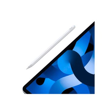 Stylus Pen C10 iPad 專用無線充電觸控筆(套裝版)