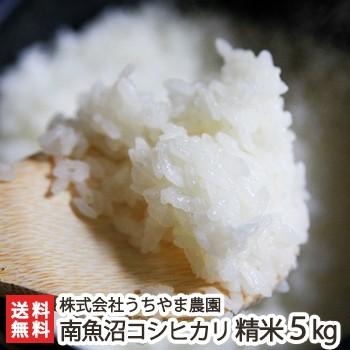 減農薬・減化学肥料 南魚沼産コシヒカリ 精米5kg 白米 株式会社うちやま農園 ギフトにも！ のし無料 送料無料