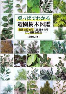 葉っぱでわかる造園樹木図鑑 造園技能検定に出題される170樹種を掲載 船越亮二