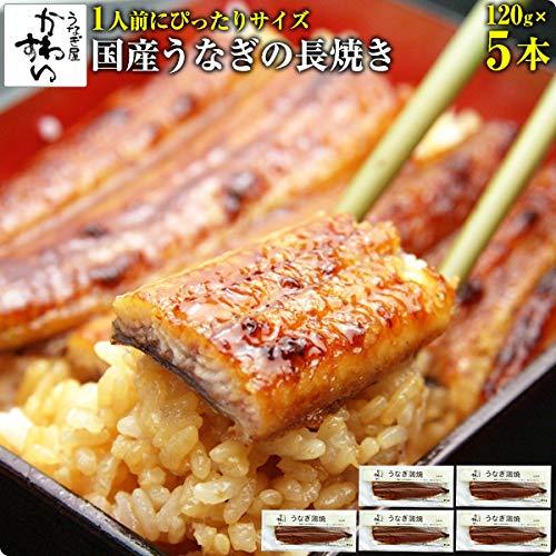 うなぎ屋かわすい 国産うなぎの蒲焼き（120g）5尾セット