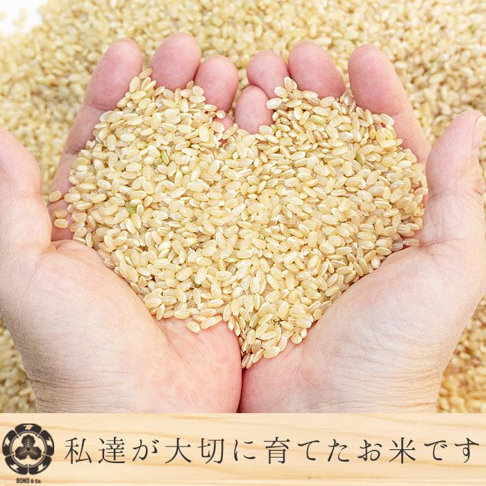 新米 令和5年産 アイガモ栽培 無農薬 コシヒカリ 食べ比べセット(白米 玄米 各1kg) 健康で美味しいお米 化学肥料不使用 オーガニック お取り寄せ グルメ 御歳暮