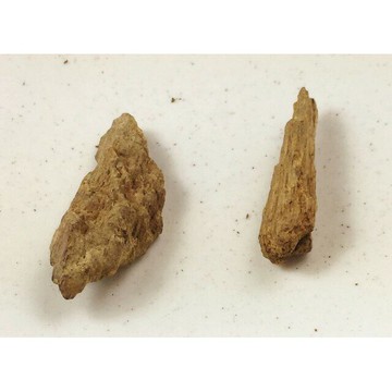 沉水~越南富森紅土沉香【周錦香】約1.01g 越南正區 濃甜蜜韻 甘醇奶香【特惠$3500】福森紅土 薰香 水沉 #9