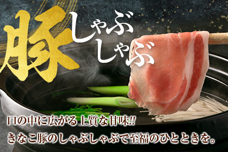 ≪きなこ豚≫ローススライス(しゃぶしゃぶ用)計960g　肉　豚　豚肉　国産　宮崎県産 BB121-23