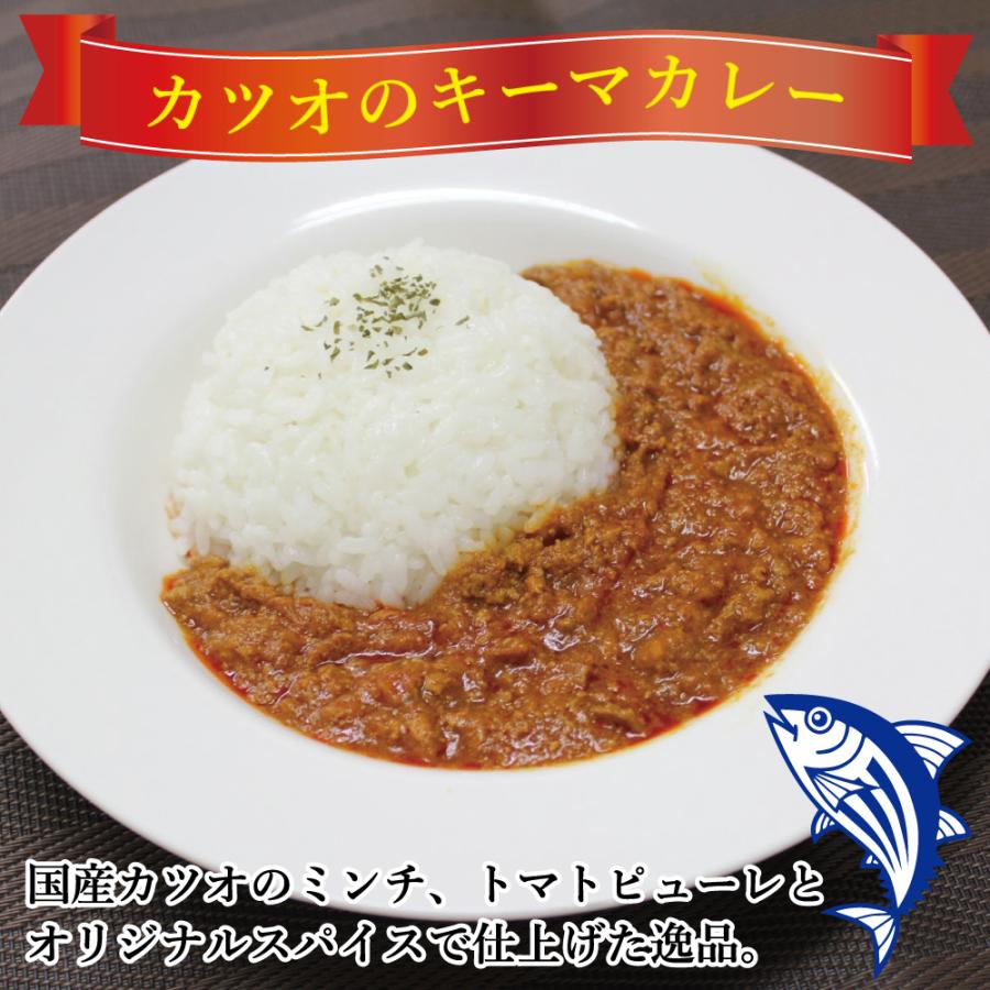 カツオのキーマカレー150g