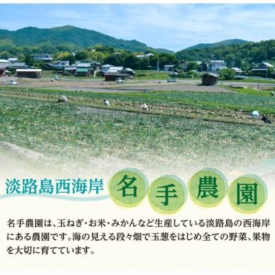 ふるさと納税 淡路市 名手農園の淡路島特産農園セット