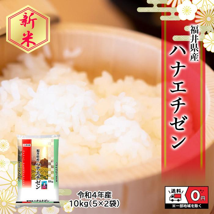 新米 令和4年産 福井県産 ハナエチゼン 5kg×2袋 10kg 米 お米 白米 おこめ 華越前 精米 単一原料米 ブランド米 10キロ 送料無料 国内産 国産