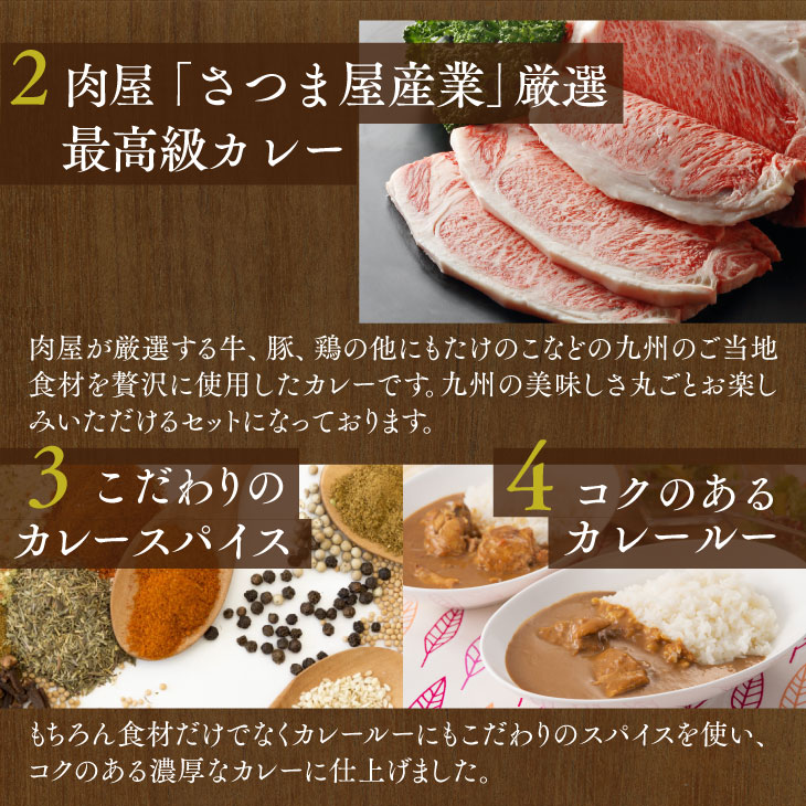 産地直送九州お取り寄せ　お歳暮　贈答　ギフト　お土産　ビーフ　チキン　ポーク　タケノコ　ご当地カレー　送料無料