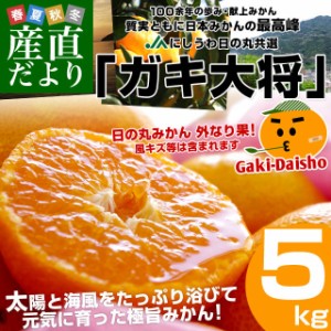 愛媛県より産地直送 JAにしうわ 日の丸みかん ガキ大将 LからＳサイズ 5キロ(40玉から60玉) 送料無料   蜜柑 ミカン