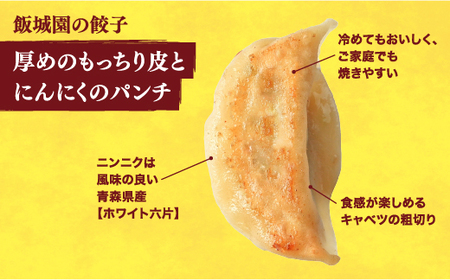 　餃子24個入り