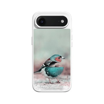 iPhone Air SolidX 白 - Julien Tabet - 水鳥