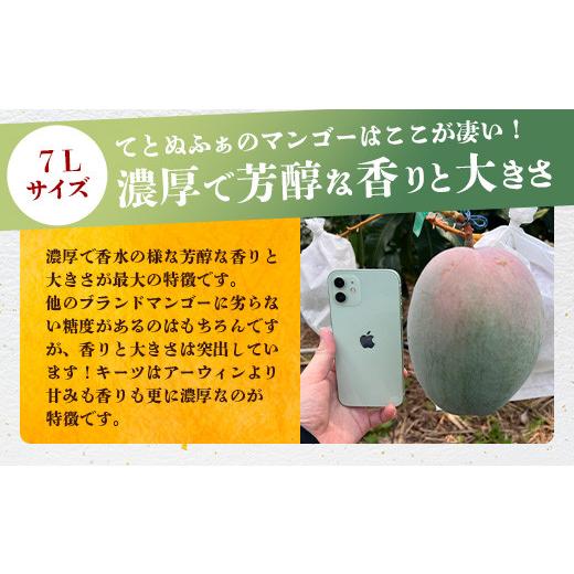 ふるさと納税 沖縄県 石垣市 《2024年6月下旬〜7月下旬発送》最高糖度23度！？ 完熟！7Lサイズ お得な幻のキーツマンゴー【 沖縄 石垣島 石垣 八重…