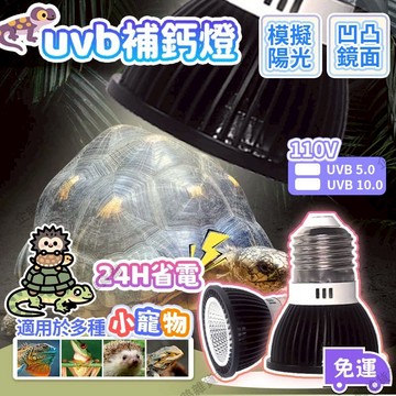免運🚚臺灣現貨🔔uvb補鈣燈 全光譜 LED曬背燈 模擬太陽光 節能省電 uvb 燈泡 蜥蜴爬寵陸龜補鈣燈 曬背燈泡