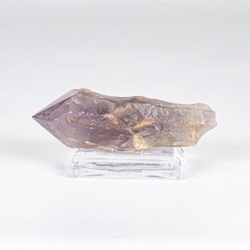 雅典娜紫骨幹 060142