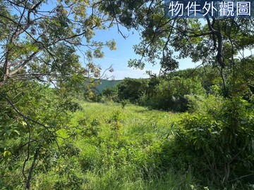 新竹延平路二段稀有虎山段平坦818坪農牧美地｜新竹市新竹市虎山段