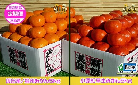 坂出産のフルーツとさぬきの特産品の定期便5回