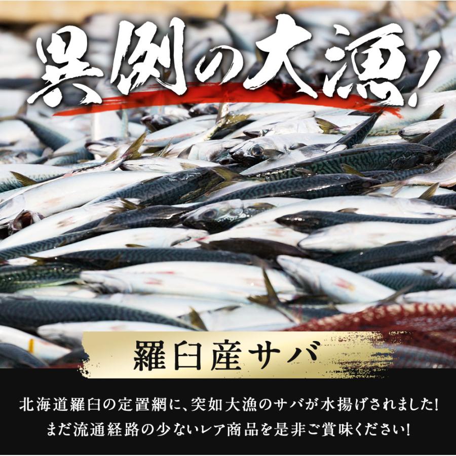 サバ半身一夜干し10枚前後 北海道 知床・羅臼産  総重量1.3kg前後 鯖 さば