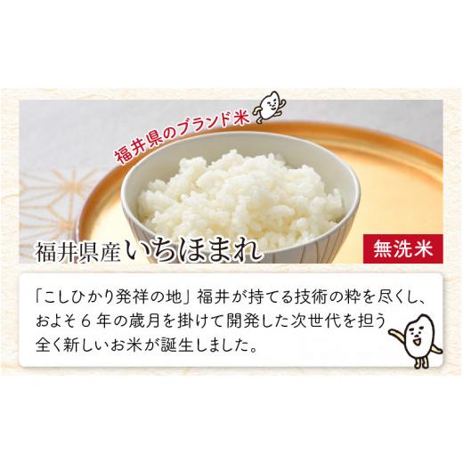 ふるさと納税 福井県 坂井市  福井県のブランド米 いちほまれ 無洗米 2kg[A-6101]