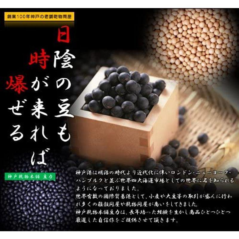 豆力 無添加 国産ソフト煎り青大豆 1ｋｇ