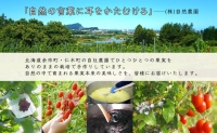 無地熨斗 オーガニック 有機 ミニトマト アイコ ジュース 飲み比べ 180ml 30本 紅色の恵 果汁 100% 野菜 トマト ジュース セット 新鮮 果汁 お取り寄せ ギフト 熨斗 のし 北海道 仁木町