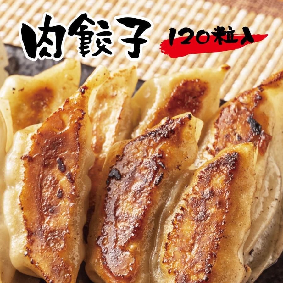 たっぷり 大容量工場直売 ジューシー肉餃子    ギョーザ グルメ ご当地 お取り寄せ 冷凍餃子 国産 国産野菜 国産豚肉