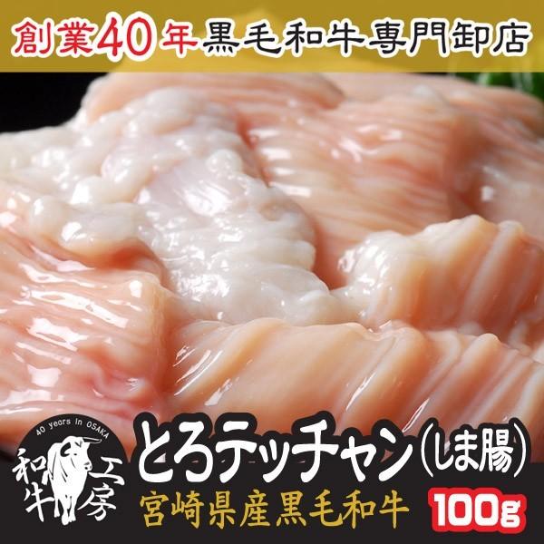 しま腸 肉 ホルモン 鍋 A5 宮崎県産 黒毛和牛 テッチャン しま腸 100ｇ ホルモン もつ煮 どて煮