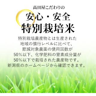 令和５年産　お米 2kg 特別栽培米昔ながらの新潟産こしひかり2kg  (送料別)