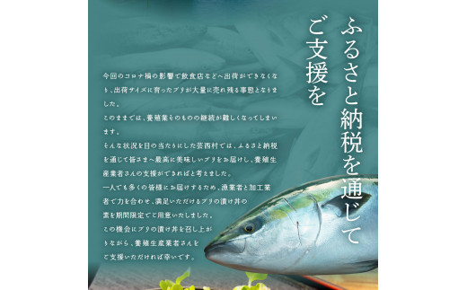 緊急支援 海鮮「ブリの漬け丼の素」1食80g×5P《迷子のブリを食べて応援 養殖生産業者応援プロジェクト》コロナ応援  惣菜 そうざい冷凍 保存食 小分け パック 高知 海鮮丼 一人暮らし〈高知市共通返礼品〉