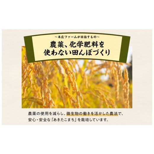 ふるさと納税 秋田県 鹿角市 《新米》令和5年産末広産 あきたこまち〈無洗米〉10kg（5kg×2袋）×10ヶ月連続発送 計100kg【末広ファー…