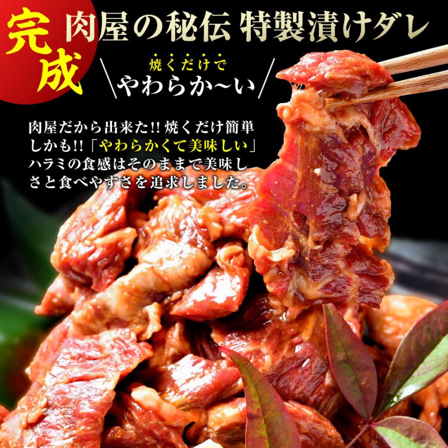 焼肉 セット 肉 牛肉 柔らか ハラミ タレ漬け メガ盛り 1kg 冷凍 食品 BBQ バーベキュー お取り寄せ グルメ